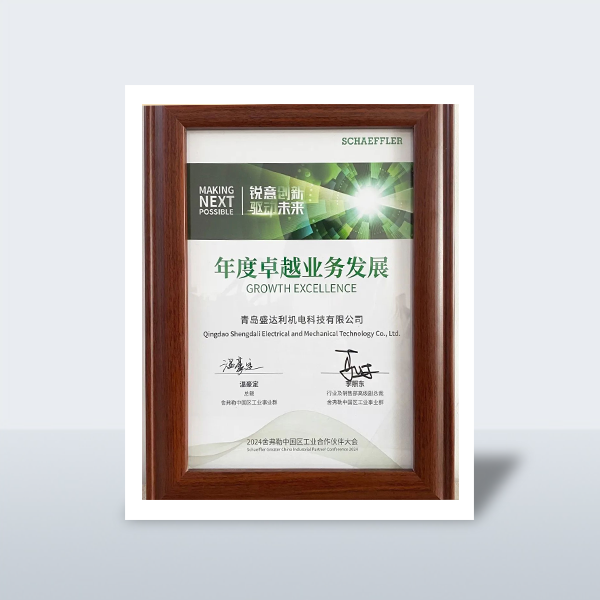 年度卓越業(yè)務(wù)發(fā)展